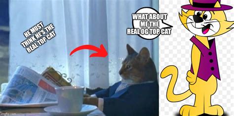 Top Cat Real.
